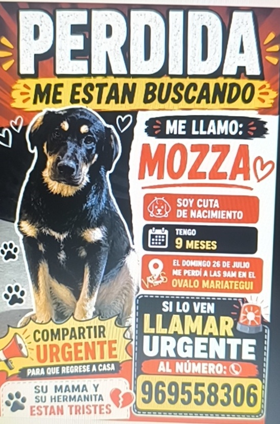 Listing cover image