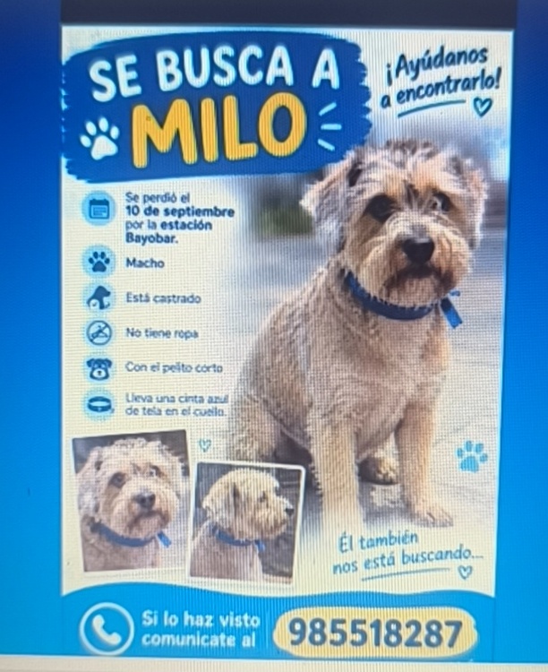 Listing cover image