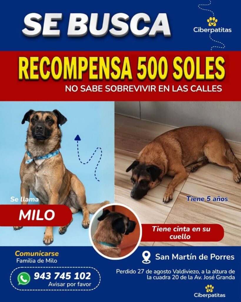 Listing cover image